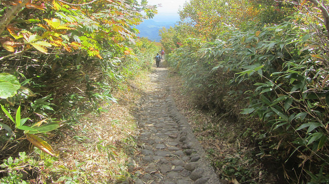 【日本賞楓】楓葉染紅山頭的栗駒山_img_57