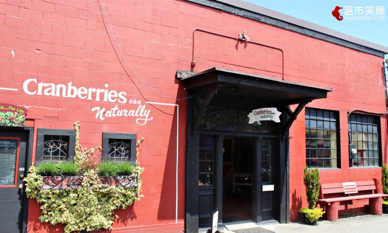 給我一顆小紅莓，我給你加拿大小鎮的歡樂慶典！_img_15