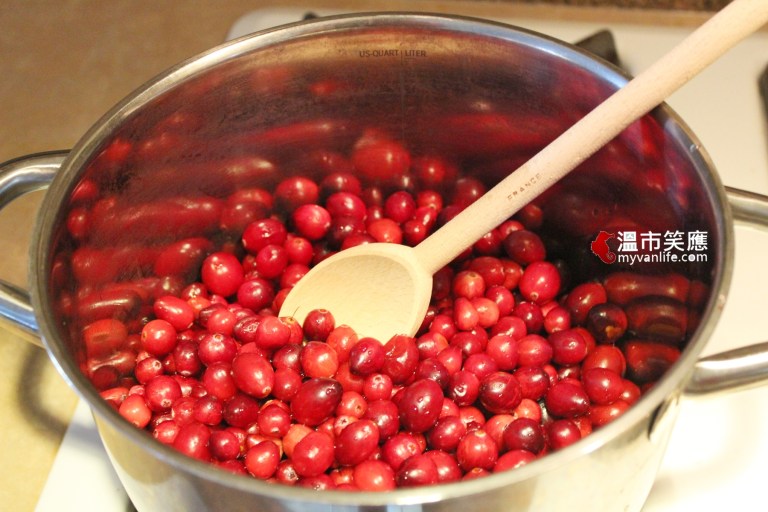 給我一顆小紅莓，我給你加拿大小鎮的歡樂慶典！_img_18