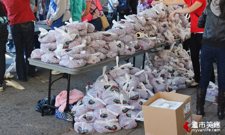 給我一顆小紅莓，我給你加拿大小鎮的歡樂慶典！_img_14