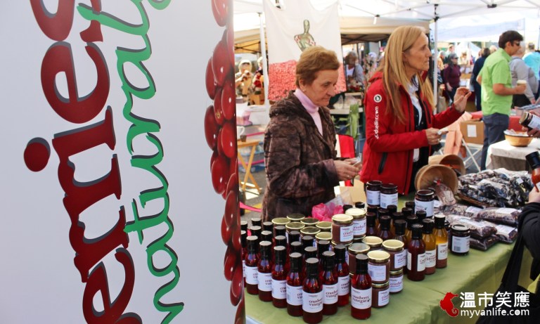 給我一顆小紅莓，我給你加拿大小鎮的歡樂慶典！_img_10