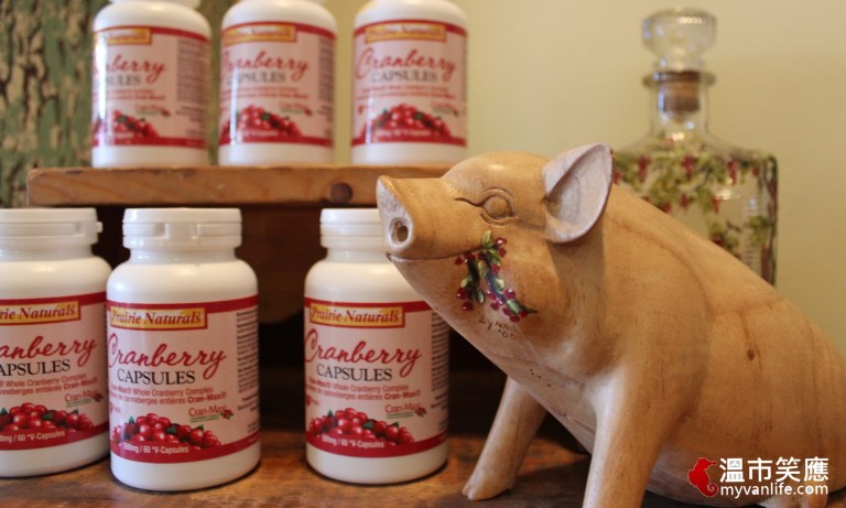 給我一顆小紅莓，我給你加拿大小鎮的歡樂慶典！_img_16