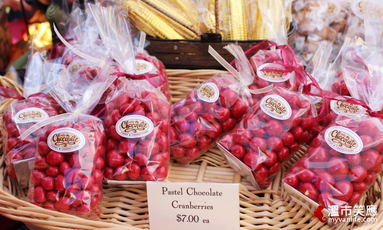 給我一顆小紅莓，我給你加拿大小鎮的歡樂慶典！_img_17