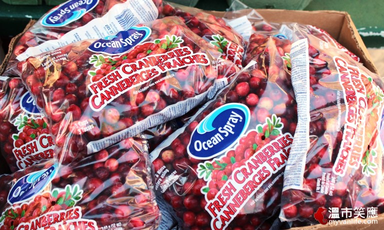 給我一顆小紅莓，我給你加拿大小鎮的歡樂慶典！_img_1