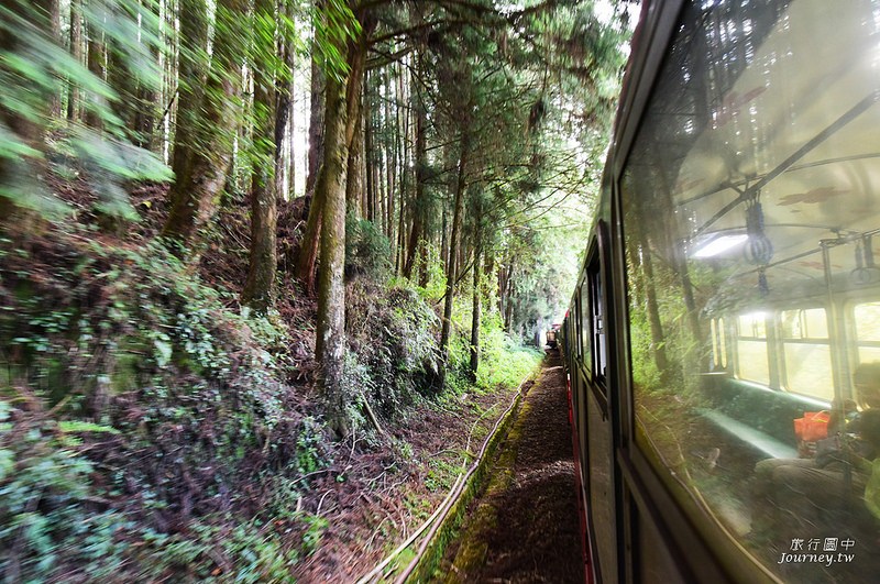 前進嘉義阿里山！尋找浴火重生後的沼平車站_img_5