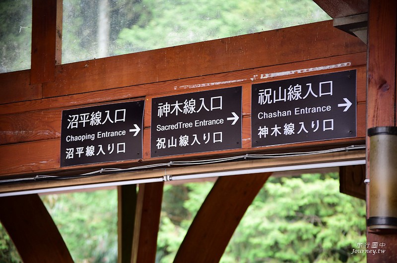 前進嘉義阿里山！尋找浴火重生後的沼平車站_img_7