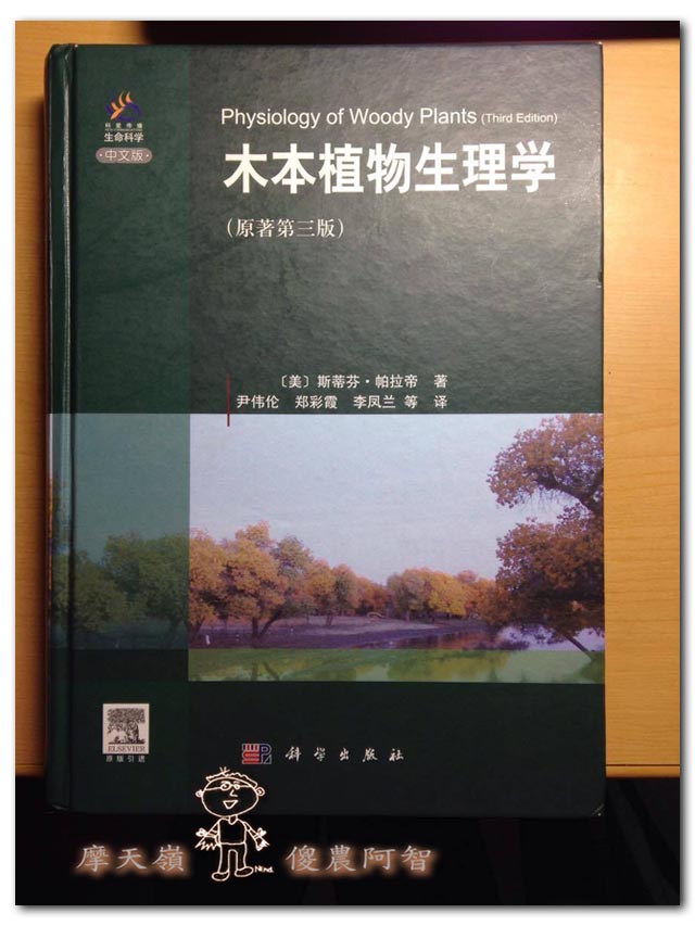 從科學的角度 解釋富有甜柿的生理落果現象與環刻的作用機制_img_5