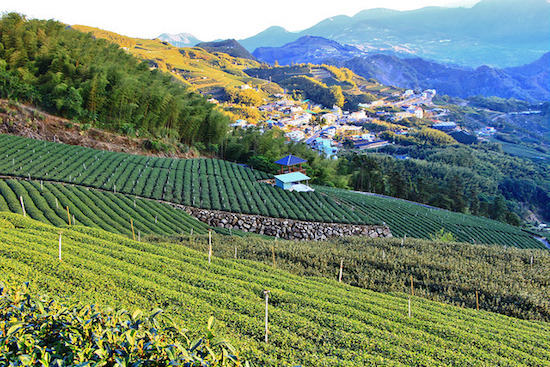 連外媒也爭先報導！全台絕美4大秘境你去過幾處？_img_10