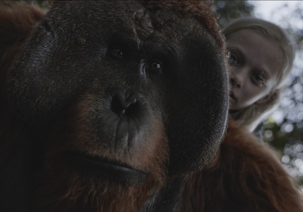 《猩球崛起：終極決戰》好評席捲！「好萊塢影史最成功的系列電影」_img_1