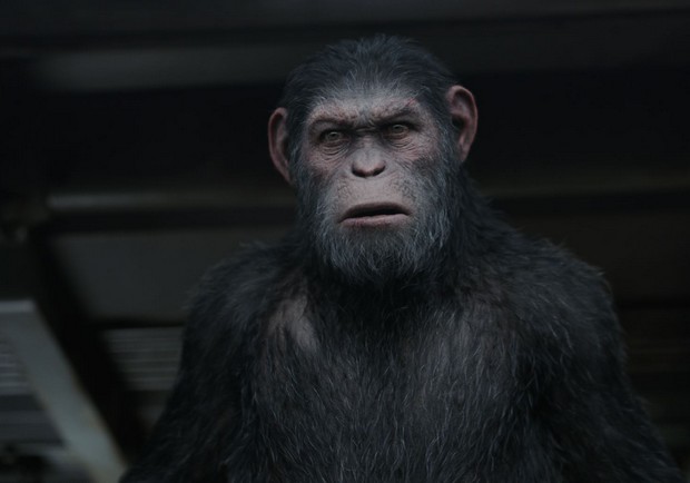 沒有猩猩的《猩球崛起》是這樣拍的！1400種特效鏡頭、50位視覺特效師打造_img_1