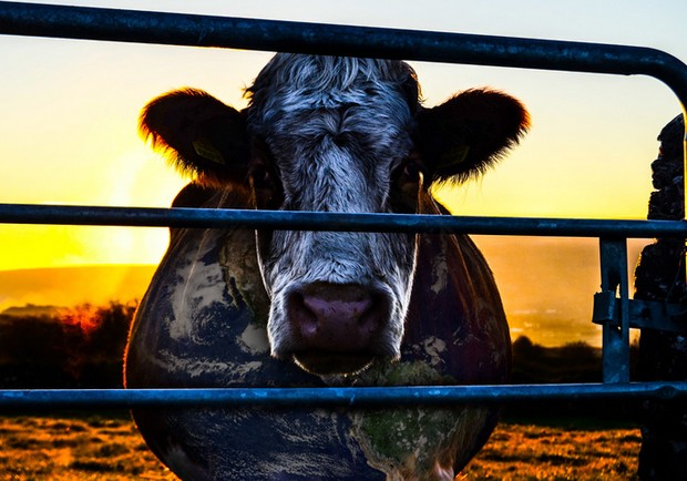 在Netflix延續《玉子》感動!4部你不能錯過的環境經典大作_img_1