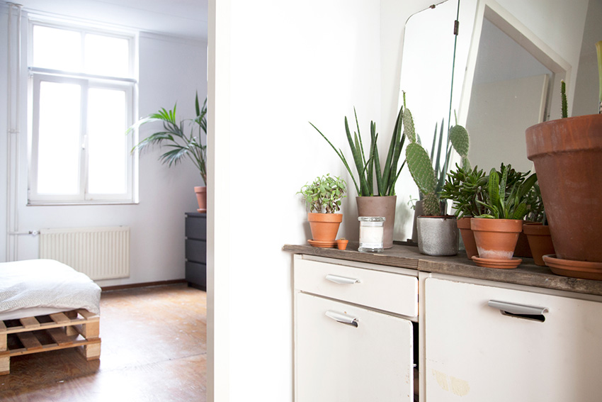 植物就是人生!荷蘭概念店總監 Lynn 的單人綠手指公寓_img_14