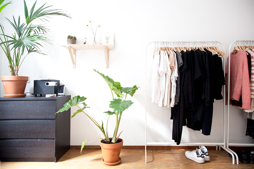植物就是人生!荷蘭概念店總監 Lynn 的單人綠手指公寓_img_9