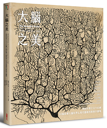 大腦周圍粘膜的腫瘤細胞_img_1