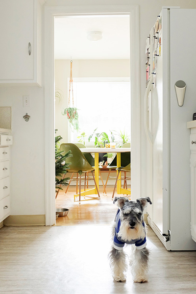 波特蘭隨四季更迭的生活藝術之屋_img_11