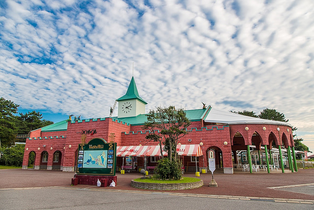 日本人票選必搭鐵道之旅！鐵道迷、背包客不能錯過的「五能線」_img_94