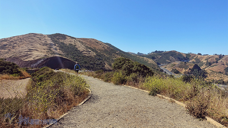 全世界最美，也最多人拍照的橋！三個近看金門大橋的最佳地點_img_19