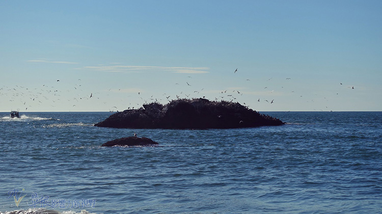 全世界最美，也最多人拍照的橋！三個近看金門大橋的最佳地點_img_30
