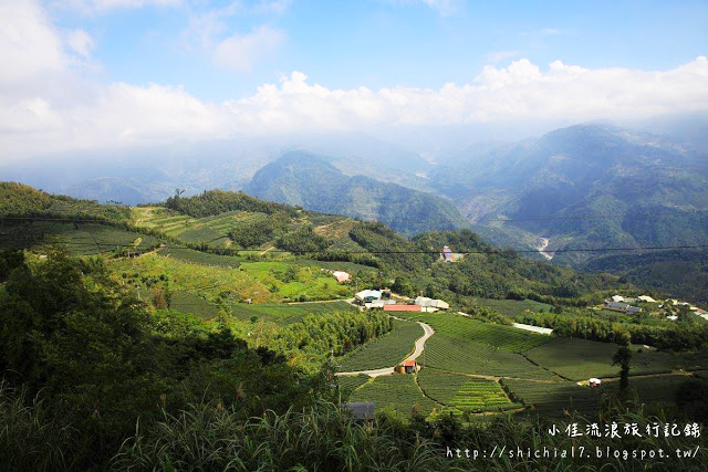 前進嘉義梅山，在蜿蜒的休閒小徑欣賞茶園美好風光！_img_7