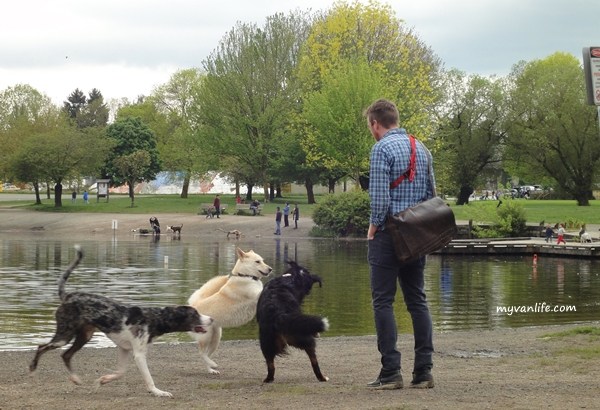 讓人領略四季之美！遛狗、賞楓兼滑雪的冬季鱒魚湖_img_1