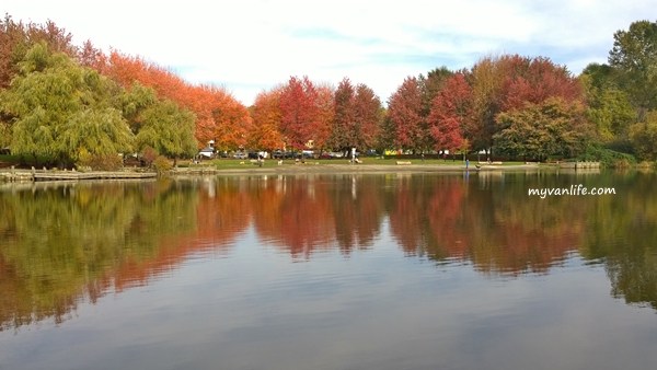 讓人領略四季之美！遛狗、賞楓兼滑雪的冬季鱒魚湖_img_2