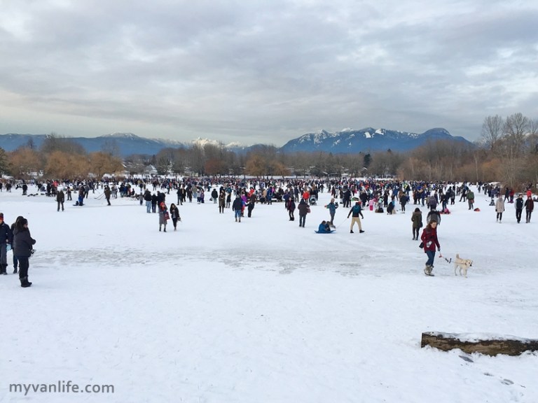 讓人領略四季之美！遛狗、賞楓兼滑雪的冬季鱒魚湖_img_3