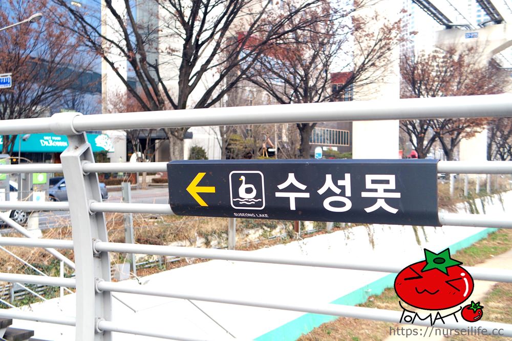 搭韓國首條單軌鐵路，遊覽大邱「壽城池」好愜意！_img_6