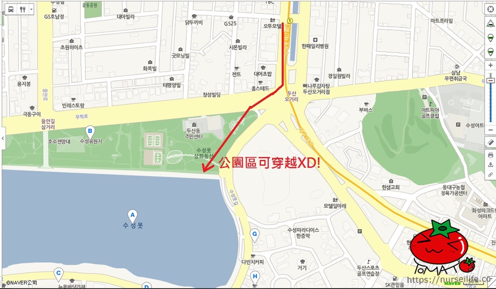 搭韓國首條單軌鐵路，遊覽大邱「壽城池」好愜意！_img_20