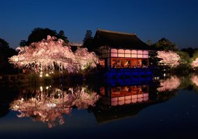 賞櫻時節將到！十大台日韓最夯賞櫻景點_img_1