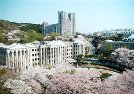 賞櫻時節將到！十大台日韓最夯賞櫻景點_img_7