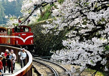 賞櫻時節將到！十大台日韓最夯賞櫻景點_img_8