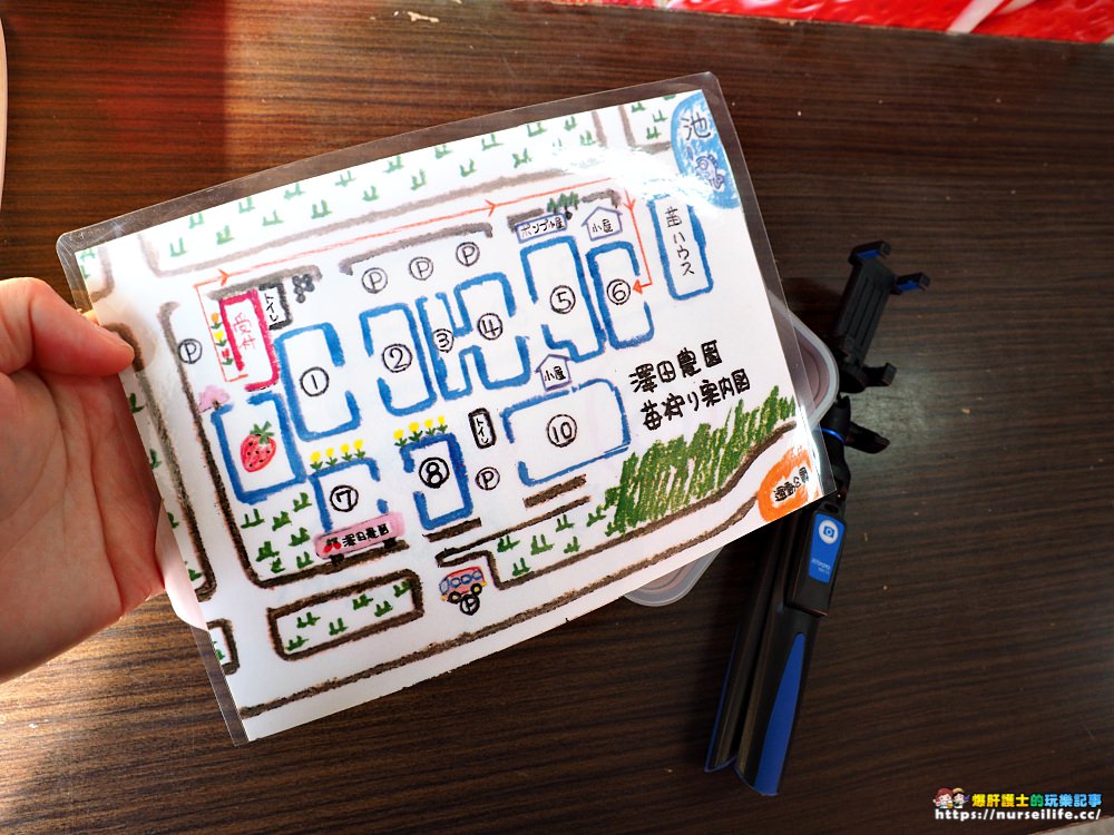 幸福滿滿的草莓吃到飽！來日本愛知採莓去_img_4