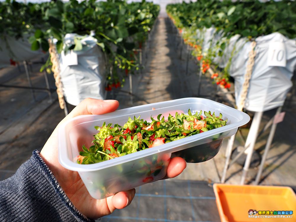 幸福滿滿的草莓吃到飽！來日本愛知採莓去_img_21