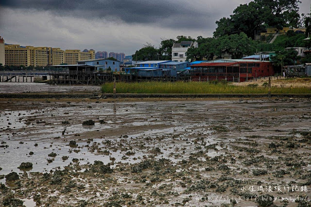 走進路環小漁村 體驗真實的澳門生活_img_13