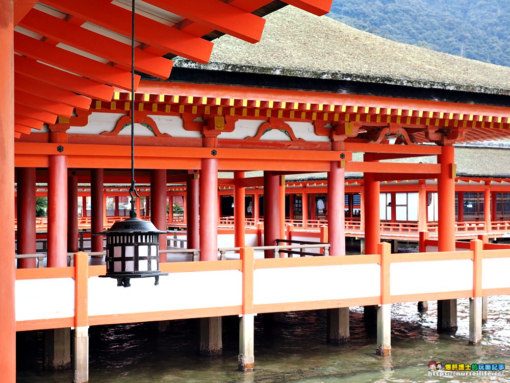 日本三景之一:宮島嚴島神社之再訪牡蠣之美_img_22