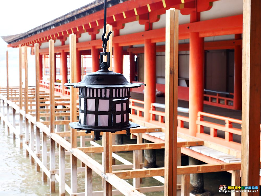 日本三景之一:宮島嚴島神社之再訪牡蠣之美_img_27