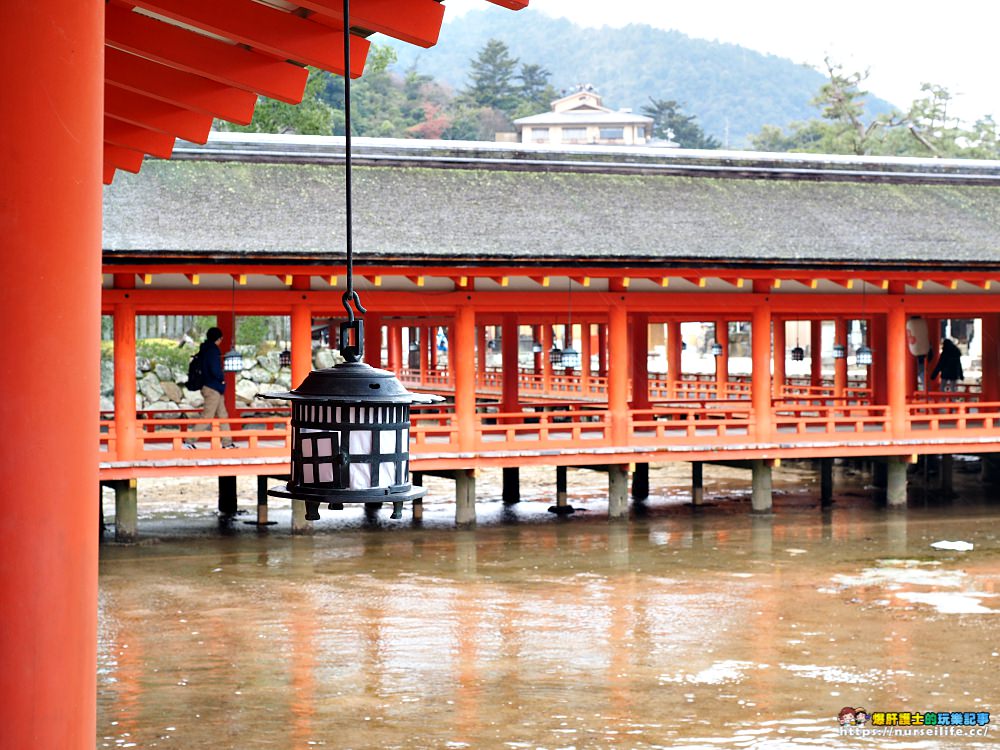 日本三景之一:宮島嚴島神社之再訪牡蠣之美_img_28