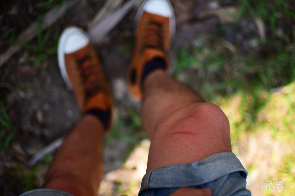 美好的蜜釀滋味 老爺爺守護的百年棕櫚園_img_11