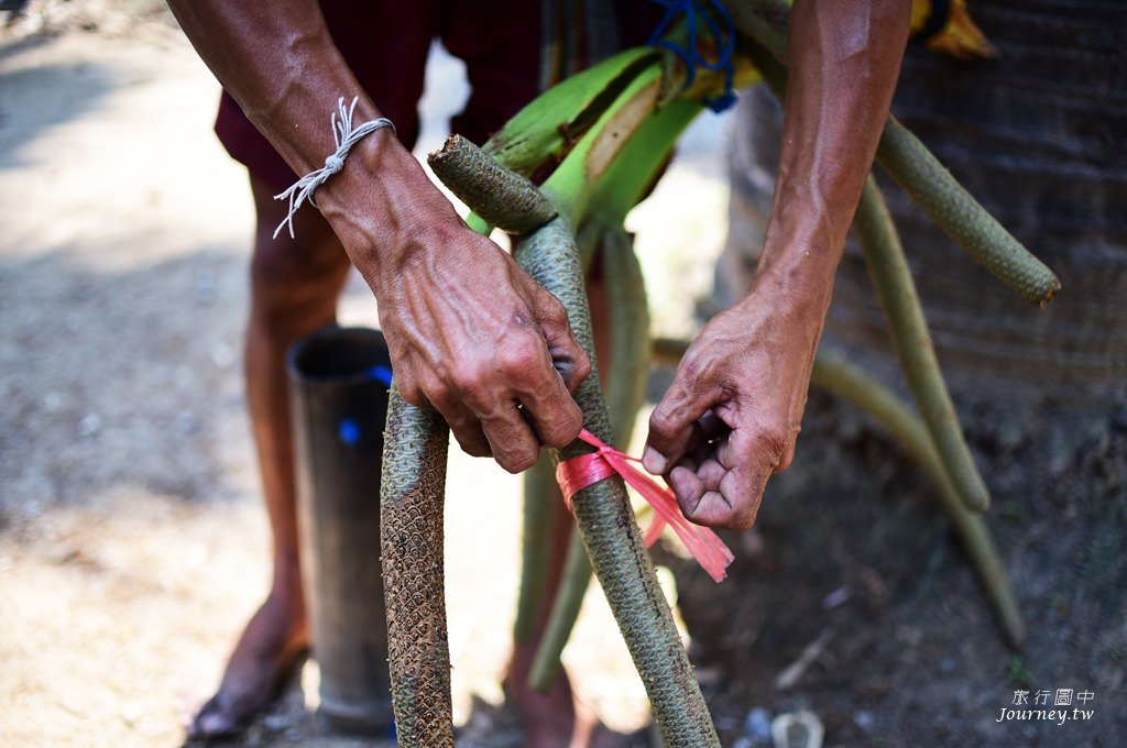 美好的蜜釀滋味 老爺爺守護的百年棕櫚園_img_16