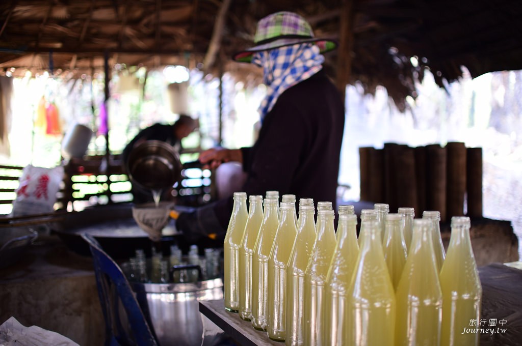 美好的蜜釀滋味 老爺爺守護的百年棕櫚園_img_30