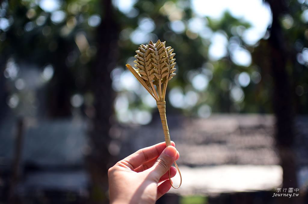 美好的蜜釀滋味 老爺爺守護的百年棕櫚園_img_38
