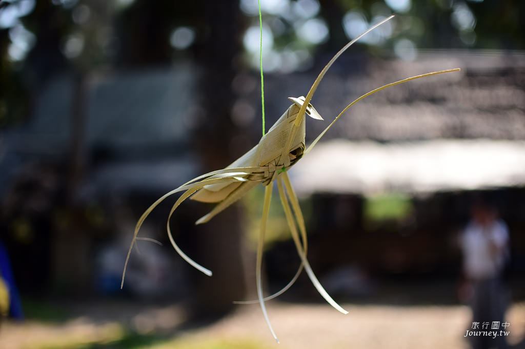 美好的蜜釀滋味 老爺爺守護的百年棕櫚園_img_36