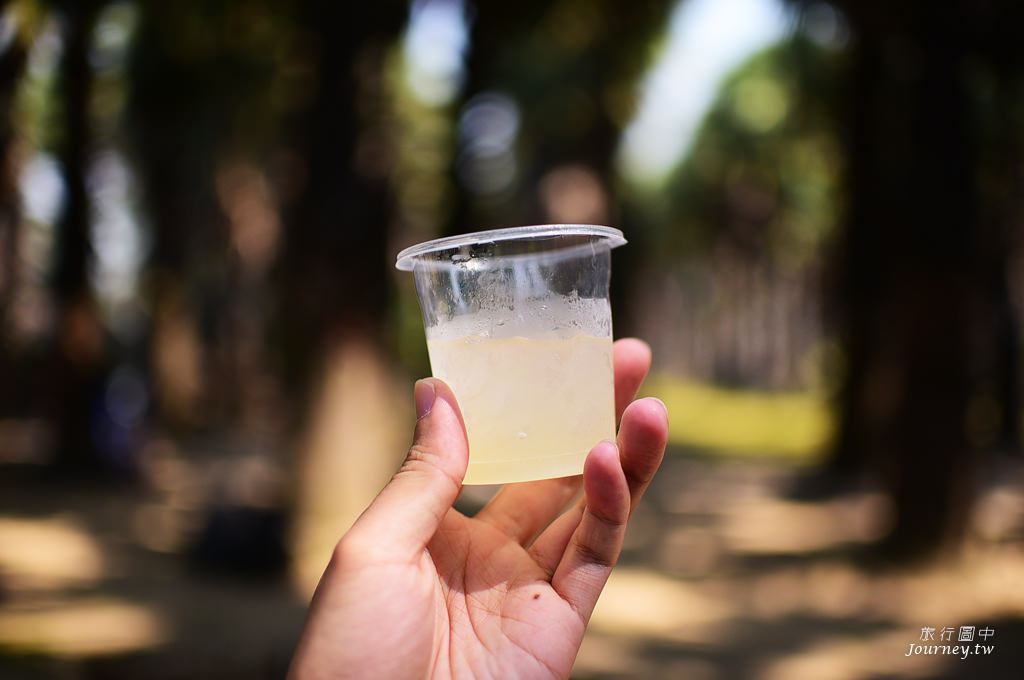 美好的蜜釀滋味 老爺爺守護的百年棕櫚園_img_33