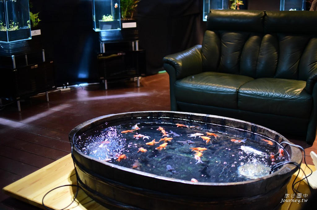 時之栖美術館 用4千隻金魚生命換來的藝術美_img_26