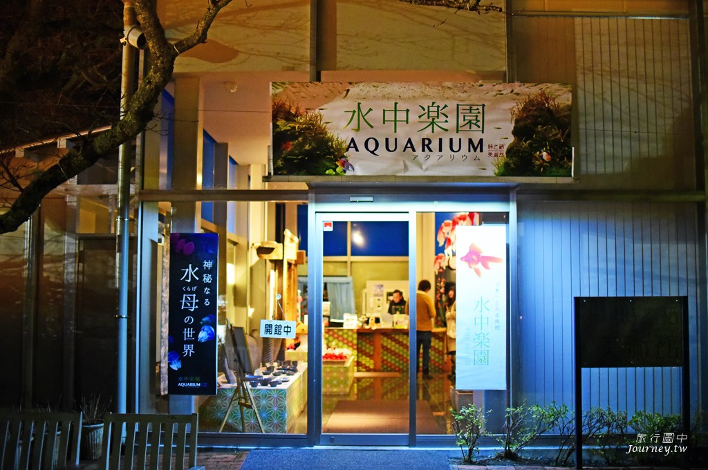 時之栖美術館 用4千隻金魚生命換來的藝術美_img_1