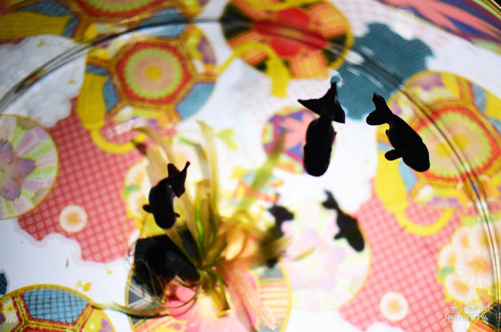 時之栖美術館 用4千隻金魚生命換來的藝術美_img_4