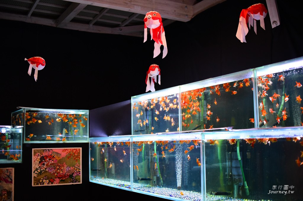 時之栖美術館 用4千隻金魚生命換來的藝術美_img_20