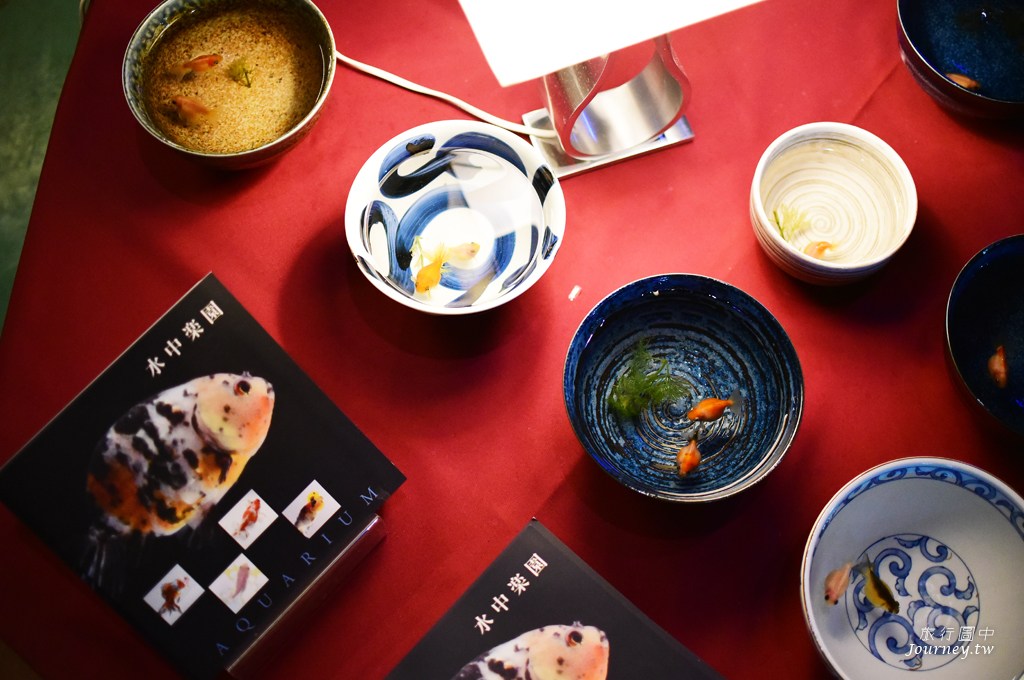 時之栖美術館 用4千隻金魚生命換來的藝術美_img_22