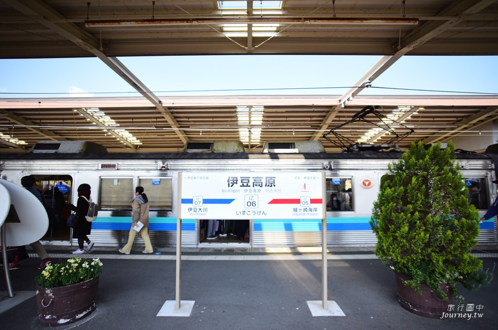 伊豆高原駅 櫻花紛飛的櫻並木隧道_img_2