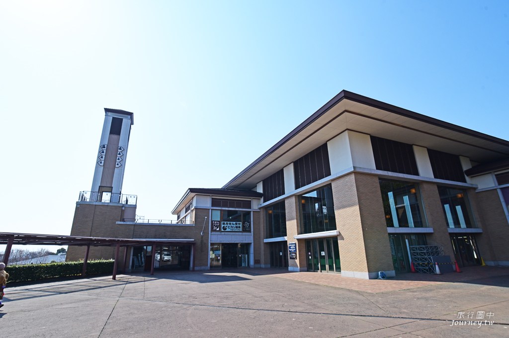 伊豆高原駅 櫻花紛飛的櫻並木隧道_img_6